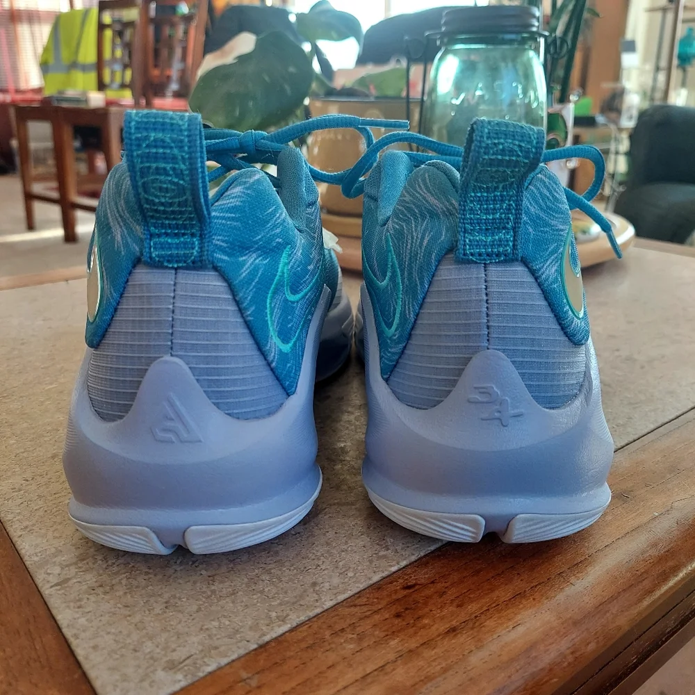Nike Zoom Freak 3 Freezing Time Size 9